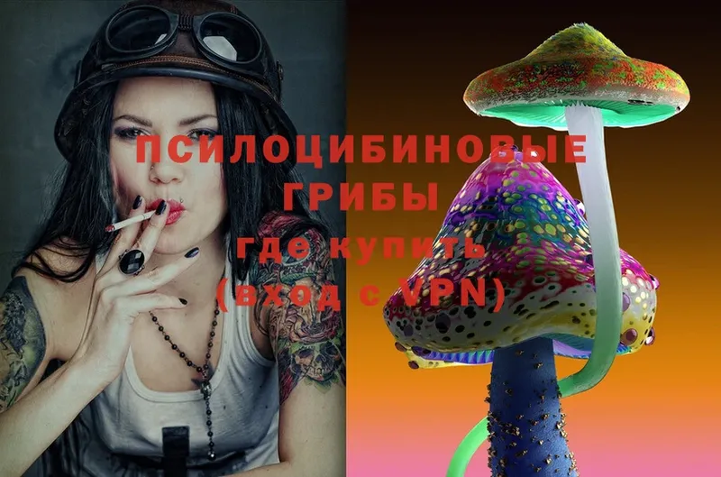 Галлюциногенные грибы Psilocybe  Кирс 